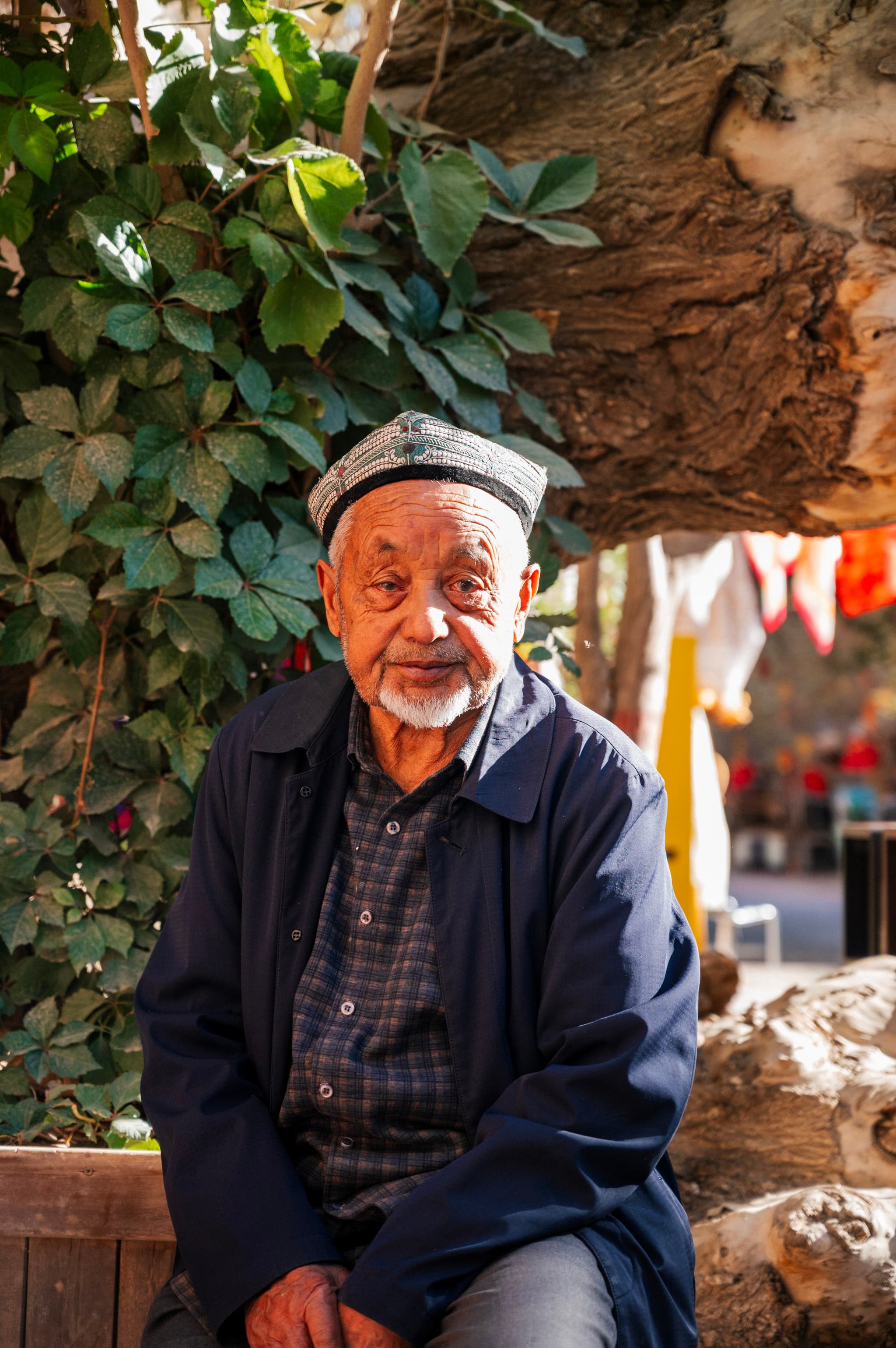 East Turkestan / occupied China