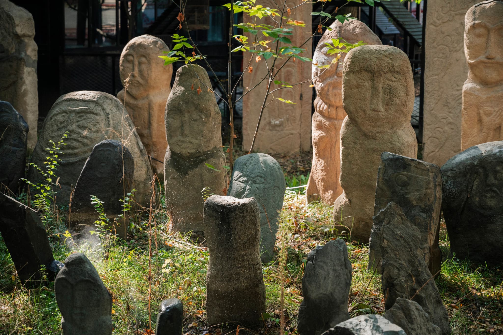 East Turkestan / occupied China