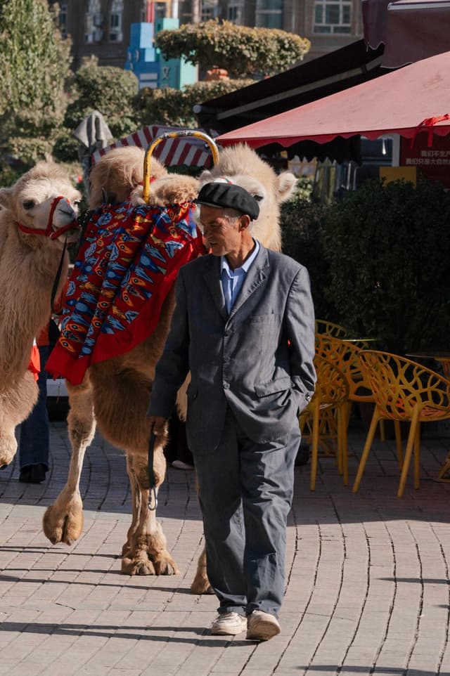 East Turkestan / occupied China