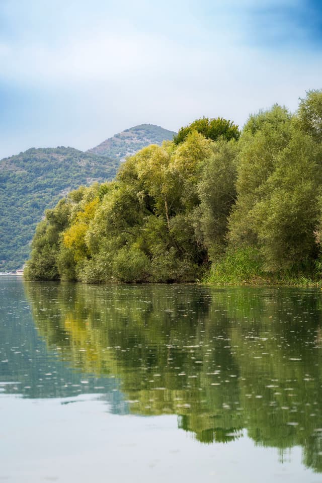 skadar lake