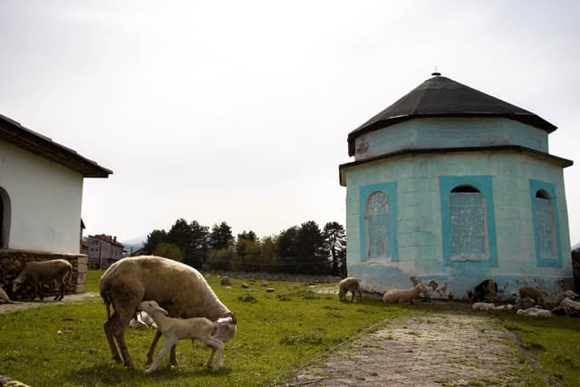 kosovo ottoman graveyard