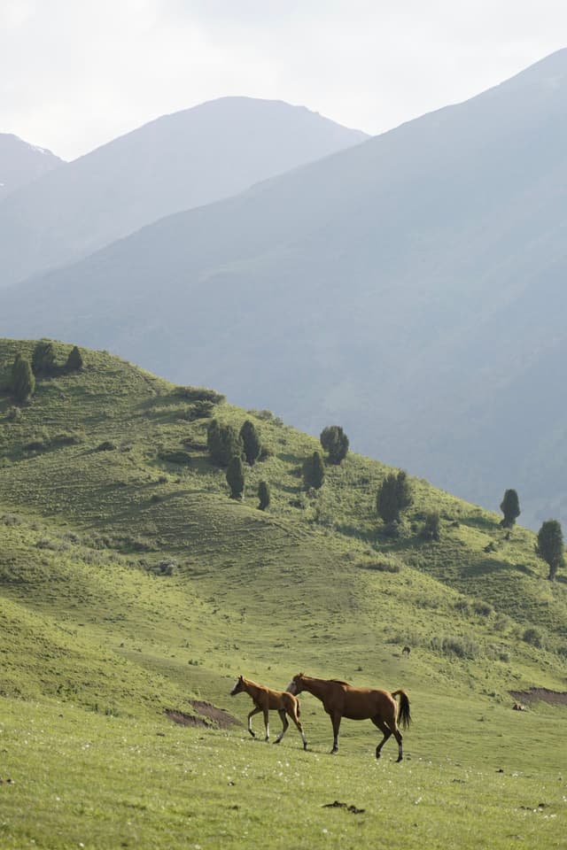Kyrgyzstan